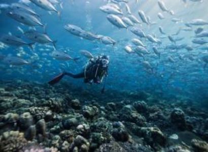 4 in Gang/group - One Night Two Days Package