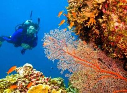 Grand Island Scuba Goa Tour