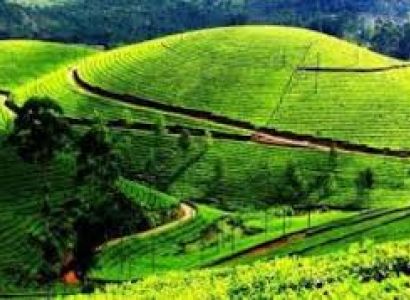 Darjeeling Tour Packages
