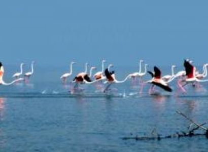 Holiday Packages in Odisha