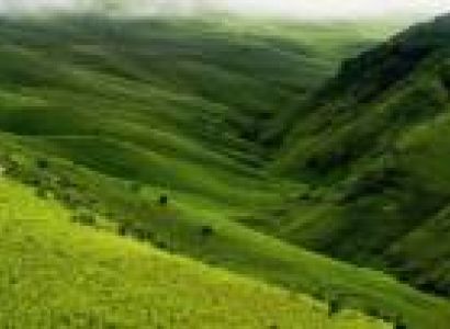 07 Nights 08 Days Guwahati, Shillong, Cherapunjee, Kaziranga Tour.