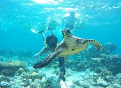 Maldives Tour