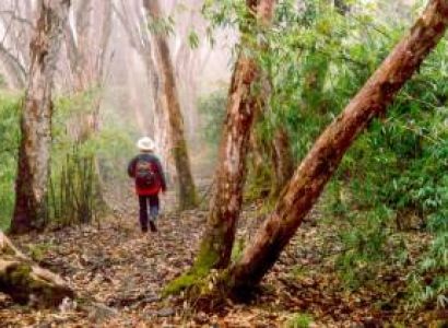 Neora Valley Package - 4N/5D