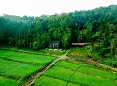 Honeymoon Package (Silver) with Luxurious Farm Villa