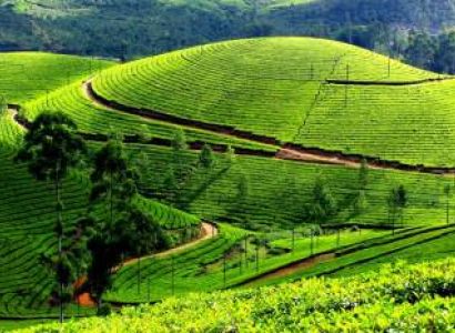 Munnar 4 Star Weekend for 3 Days