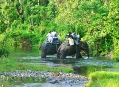 Dooars Package (3 Nights & 4 Days):  Lataguri (3 N)