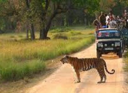 Historic Madhya Pradesh Tour