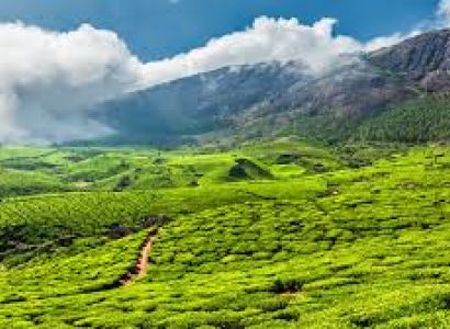 Kerala Tour Package 7 Days