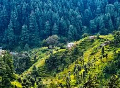 Nainital Kausani Tour 6 Days