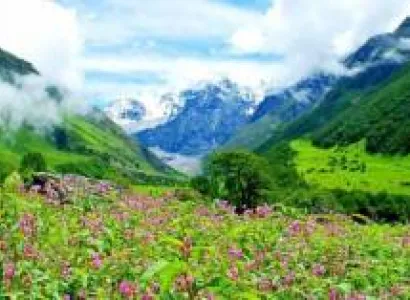 Valley of Flower Package