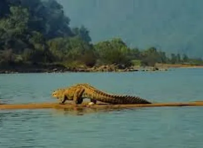 Bhubaneswar With Satkoshia Tour