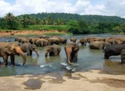 7 Days Sri Lanka Tour