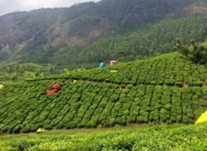 Sikkim & Dargiling Tour