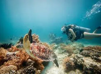Snorkelling Trip Around Gili Islands Tour
