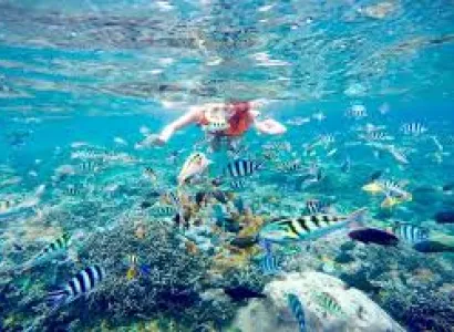 BALI With GILI T Tour 6 Days