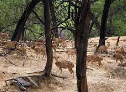 Nainital Almora Corbett Tour Package 6 Days with Tamil Driver