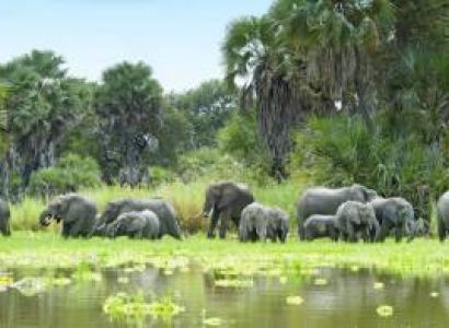 4days Selous Game Reserve Tour