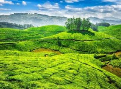 5 Days Cochin - Munnar Tour