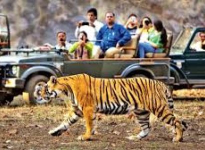 Weekend Getaway Corbett Tour