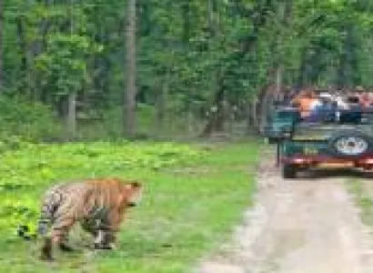 Kanha Pachmarhi Tour