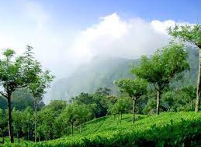KARNATAKA - BANGALORE - MYSORE - WAYANAD - OOTY - MOUNT AVENUE TOUR