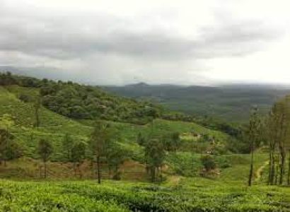 KARNATAKA - MYSORE - WAYANAD – WAYANAD WINDS TOUR