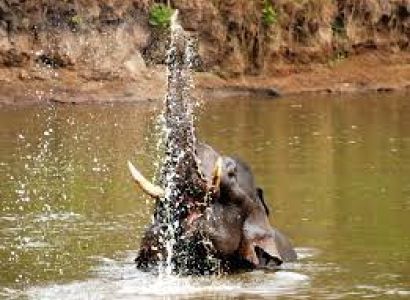 6 NIGHTS & 7 DAYS IN MYSORE - NAGARHOLE - OOTY TOUR