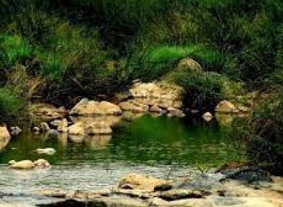 6N KARNATAKA – BANGALORE, MYSORE, WAYANAD AND OOTY – MOUNT AVENUE TOUR