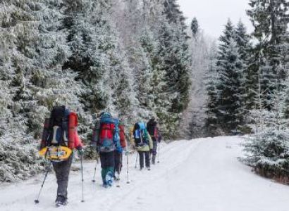 Shimla Kullu Manali Tour Package By Dzire Car ( 5 Nights / 6 Days )