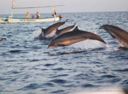 4night 5 Days Overnight Bali Package Tours