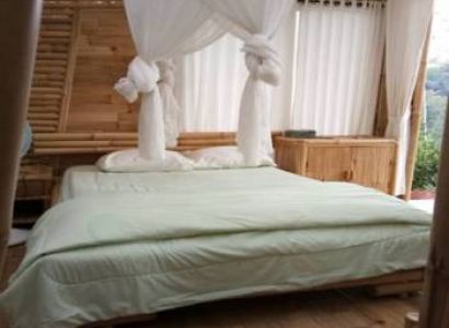 D'lekeleke Bamboo Villa - Mysty Jungle and Natural Tour