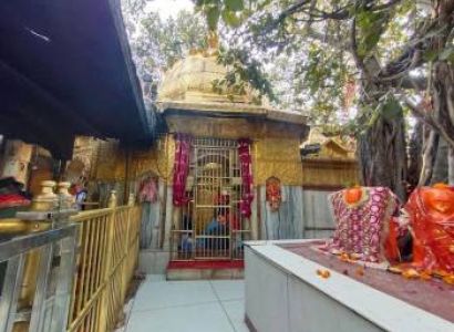 5N 6D Wonderland Kangra - Dharamshala - Dalhousie Tour