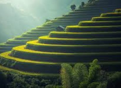 Darjeeling Tour By Car