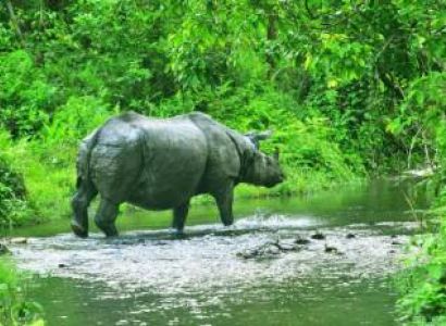 Buxa-Jayanti-Jaldapara Trip Tour