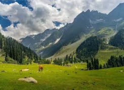 Kashmir with Leh Ladakh Tour