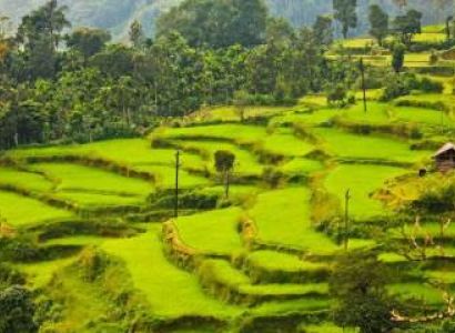 Bangalore Mysore Coorg Tour