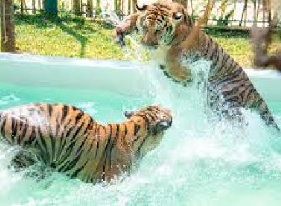 Thailand 9 Night 10 Days Tour Itinerary