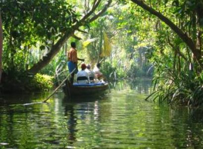 Kochi – Munnar - Alleppey – Kovalam Tour