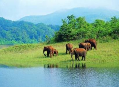 5 Days Munnar Thekkady Tour