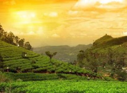 Assam 5 Days Tour Package