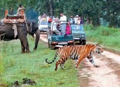 Jim Corbett National Park Tour