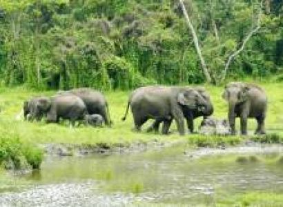 Complete Dooars Tour