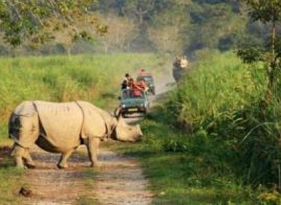 North East Tour Package