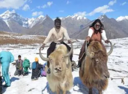 New Delhi to Shimla Tour