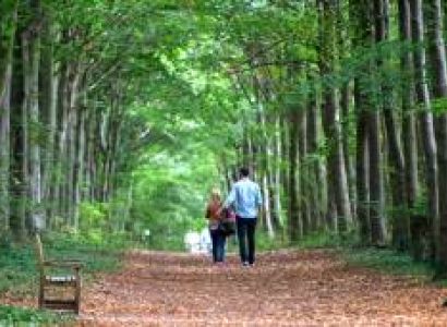 Complete Himachal Honeymoon Tour