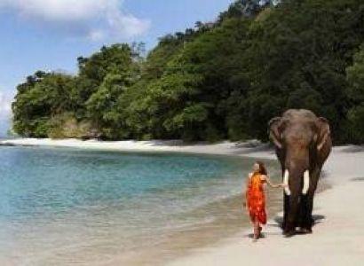 Snorkeling Andaman Package