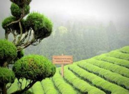 Kerala 5 Day Package