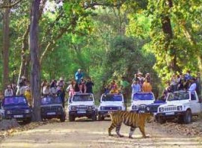 6 Night 7 Days Uttrakhand Tour