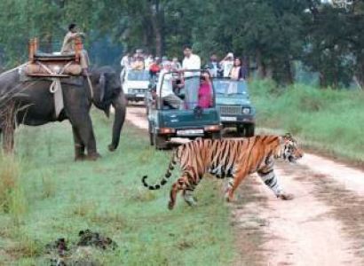 1 Night 2 Days Jim Corbett Tour