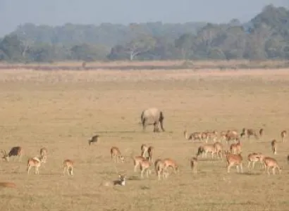 2 Night 3 Days Jim Corbett Tour Package